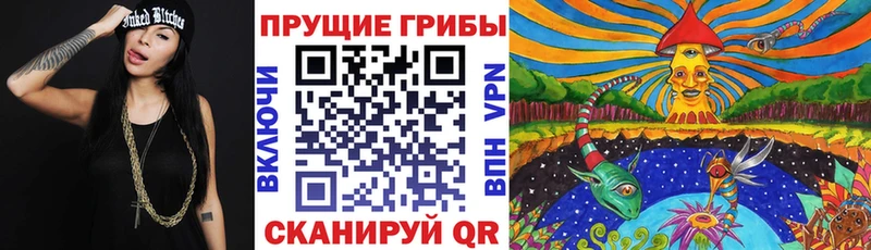 Галлюциногенные грибы Magic Shrooms  купить закладку  Вяземский 